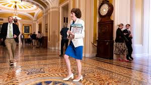 Democratic youth-focused groups endorse Graham Platner in Maine Senate race | Can a Maine oyster …