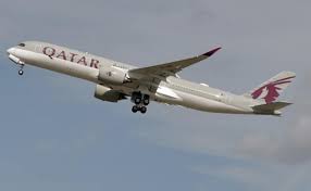Qatar Airways Vegetarian Passenger Chokes To Death After Being Told To ‘Eat Around’ Meat-Based Me…