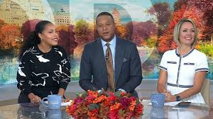 TODAY’s Craig Melvin comes to Dylan Dreyer’s defense against ‘workplace bully’ Sheinelle Jones’ t…