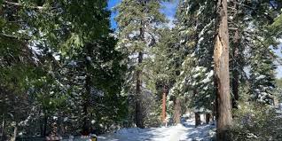 Seasonal Lake Tahoe service roads, gates closure dates released | Seasonal Lake Tahoe service roa…