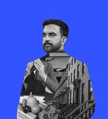 Zohran Mamdani and the Revenge of the Struggling Yuppie | Democrats Collapsed Here Last Year. How…