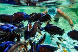 Board of Creatives? | NYT Mini Crossword Answers, Hints for Saturday, December 13, 2025 | Mini cr…