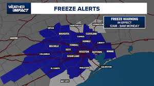 Freeze Warning issued for portions of southeast Texas | Houston weather: Cool for now, freezing f…