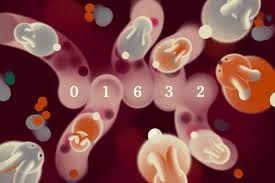 Today’s Wordle Hints for Dec. 7, 2025 | Today’s Wordle Hints, Answer and Help for Dec. 7, #1632…