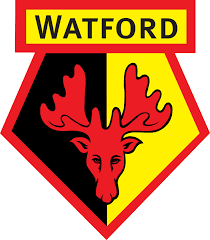 Wrexham v Watford: Championship stats & head-to-head | Wrexham Association Football Club | Gracia…