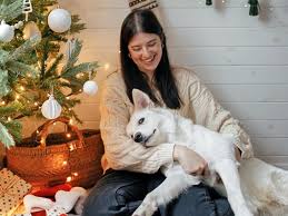 Your Pet Can’t Stand When You Play These Popular Christmas Songs | Christmas songs may be stres…