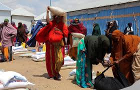 Food aid in Somalia could halt within weeks due to funding shortages, WFP warns | UN data shows 6…