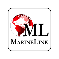 Will Smith Announces The Electric E1 Race In Angola | Will Smith plans to film “Bad Boys” sce…