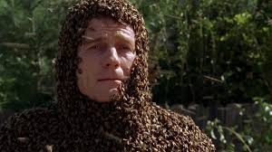 How Malcolm in the Middle convinced Bryan Cranston to do wild stunt with 10,000 bees | ‘Taking …