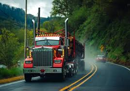 How Electronic Logbook Fraud Impacts Lafayette Truck Accident Cases | 2 Texas residents killed in…