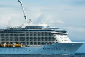 Cruise Ships Urged to Slow Speeds After Dead Pregnant Whale Found on Bow of Royal Caribbean Boat …