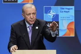 Türkiye: NATO Zirvesi Öncesinde Baskı, Gözaltı ve Yasaklar | NATO Zirvesi öncesi operasyon:…