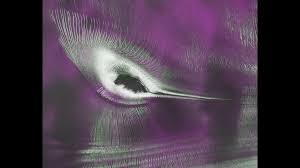 Satellite spots a ‘hummingbird’ in Antarctica photo of the day for July 23, 2026 | NASA’s NISAR C…