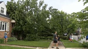Storms down trees, leave thousands without power amid holiday celebrations in Chicago area | Chic…