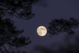 August’s Full Sturgeon Moon Will Pass Through Earth’s Shadow—Here’s When to Look Up | The…