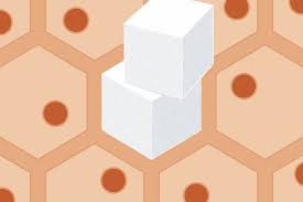 Popular drug metformin transforms your gut into a sugar sink | When consent finally learns to rem…