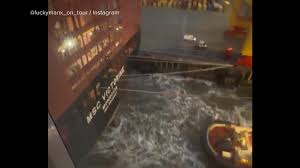 Video Cruise liner collides with two docked cargo ships | Cruise Ship Rams Container Ship, Lifebo…